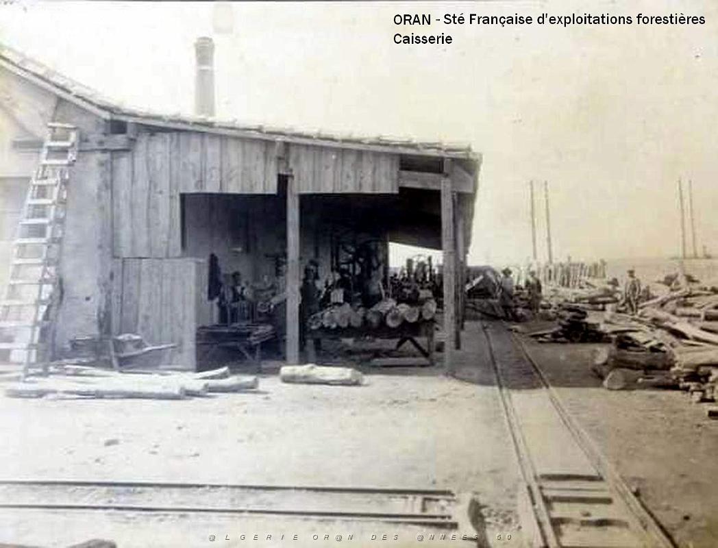ORAN- 03.jpg
